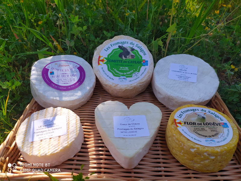 fromagerie-traditionnelle-fromage-brebis-chevre-vache-producteurs-locaux-ferme-fabrication-artisanale-lait-cru11