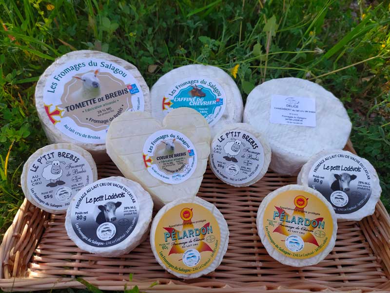 fromagerie-traditionnelle-fromage-brebis-chevre-vache-producteurs-locaux-ferme-fabrication-artisanale-lait-cru13